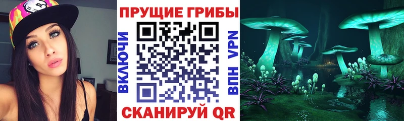 Галлюциногенные грибы Cubensis  Соликамск 