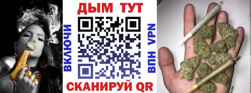 Каннабис ГИДРОПОН  купить закладку  Соликамск 
